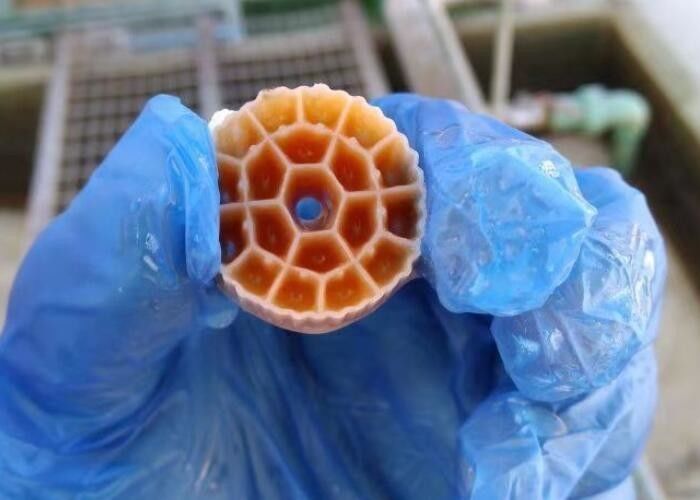 블랙 버진 HDPE 물질 MBBR 플라스틱 필터 매체 수족관용 25mm X 12mm