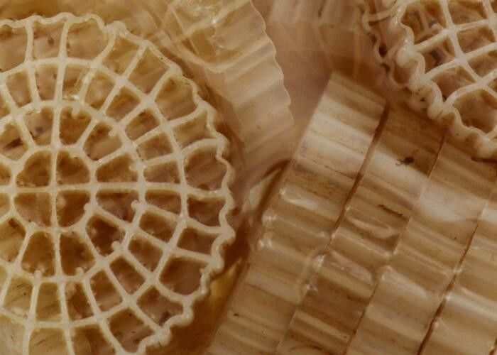 폴리에틸렌 BIO 볼 필터 매체 FDA 안전 독성 없는 K1 마이크로 MBBR 매체